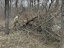 Парк Авиаторов в Ростове очищают от мусора и валежника
