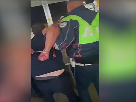 Полиция задержала мужчину за повреждение около 10 машин на Пятницком шоссе