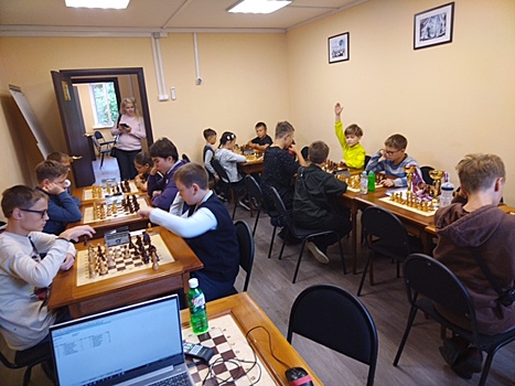 В районе Старое Крюково прошел турнир по шахматам