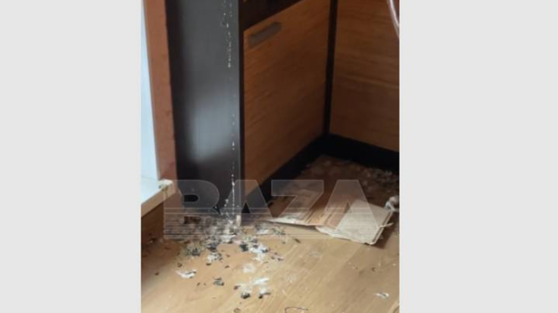 Россиянка вернулась из отпуска и обнаружила в своей квартире голубятню