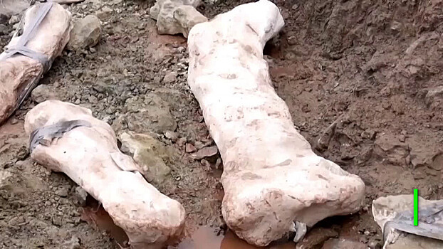 В Испании нашли останки травоядного динозавра
