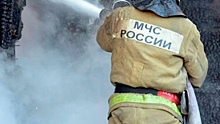 В Хакасии горят хозпостройки около дома отшельницы Агафьи Лыковой
