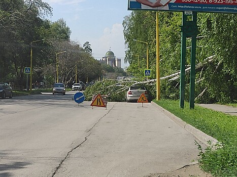 Ураган в Новосибирской области снес 40 крыш и повалил деревья
