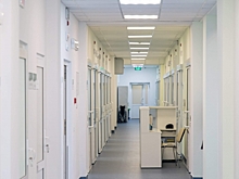 В Волгограде шестеро человек заразились лихорадкой Западного Нила