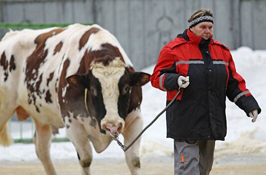 Девять сельскохозяйственных комплексов построили в прошлом году в Подмосковье