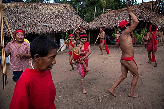 Индейцам Амазонии предрекли вымирание
