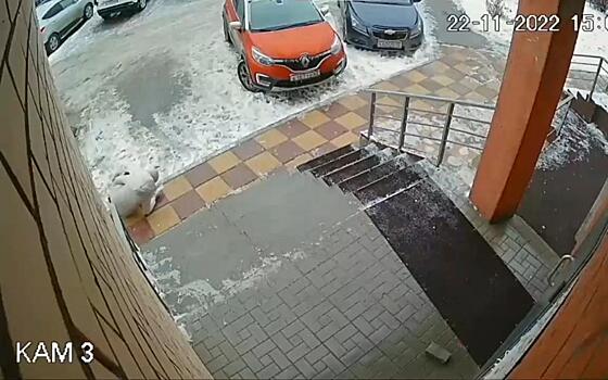 В Дашково-Песочне девушка упала у подъезда и получила перелом