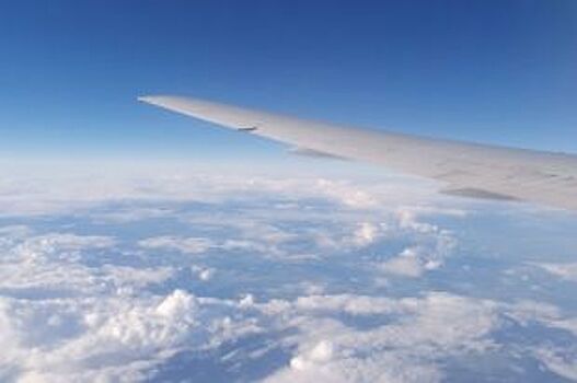 Летевший в Новосибирск самолет экстренно сел в Якутии