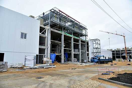 Мясоперерабатывающий завод в ТОСЭР «Павловск» заработает в 2021 году