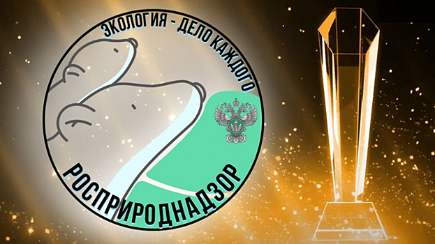 Саратовская школьница заняла второе место в международном экологическом конкурсе