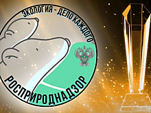 Саратовская школьница заняла второе место в международном экологическом конкурсе