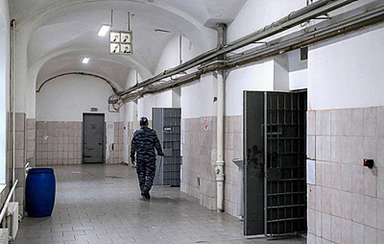 Депутата Заксобрания Приморья, подозреваемого в растлении ребенка, заключили под стражу