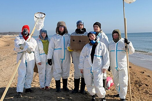 Донские волонтеры &laquo;Единой России&raquo; и МГЕР присоединились к ликвидации последствий разлива нефтепродуктов на Кубани