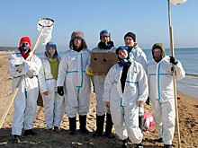 Донские волонтеры &laquo;Единой России&raquo; и МГЕР присоединились к ликвидации последствий разлива нефтепродуктов на Кубани