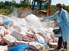 Депутаты предложили ввести штраф за продажу санкционных продуктов