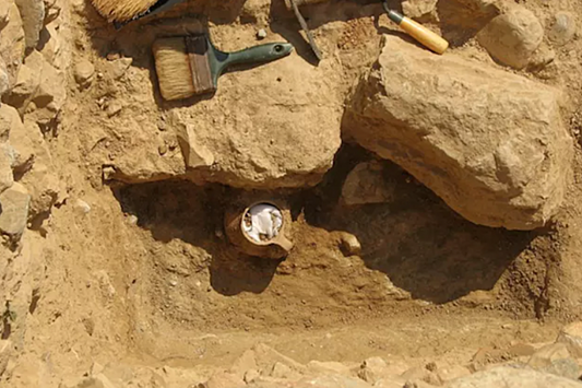 Археологи раскрыли тайну горшка с куриными костями