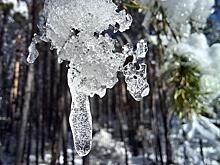 Теплые выходные ожидаются в Забайкалье