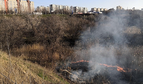 В Волгограде около гипермаркета сгорел овраг