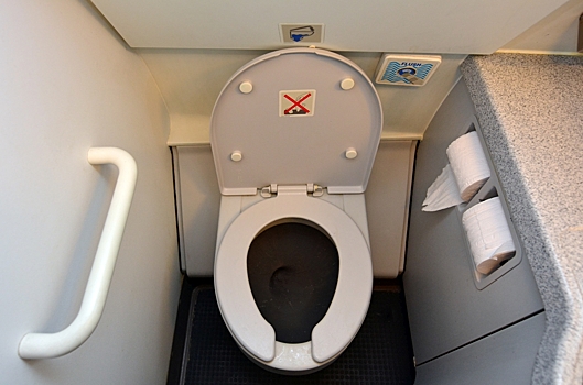 Россиянка нашла миллион рублей в туалете самолета