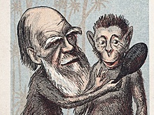 Обезьяний процесс: как в США боролись с теорией Дарвина и чем все закончилось