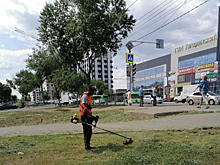 В Оренбурге продолжают выкашивать сорную траву