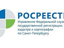 В феврале в Петербурге количество ДДУ на жилье уменьшилось почти на 40%