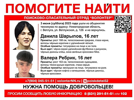 Два 16-летних мальчика пропали в Ветлужском районе