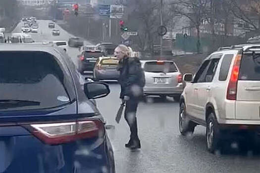 Во Владивостоке женщина на каблуках изрубила большим тесаком автомобиль обидчика