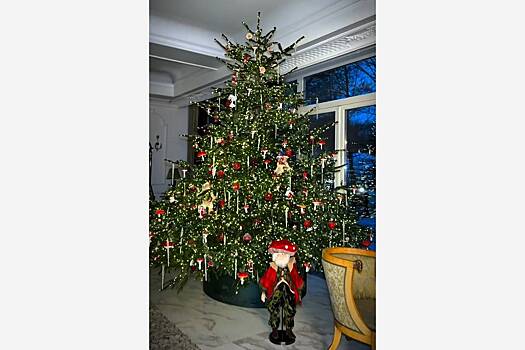 Рудковская украсила дом мухоморами