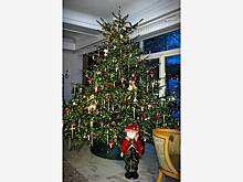 Рудковская украсила дом мухоморами