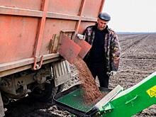 Сельхоз-прогноз: Завтрашние русские деликатесы – пищевые добавки и желудочные таблетки
