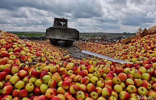 УрФО: комсомолец-2018, давленные яблоки и день бабули