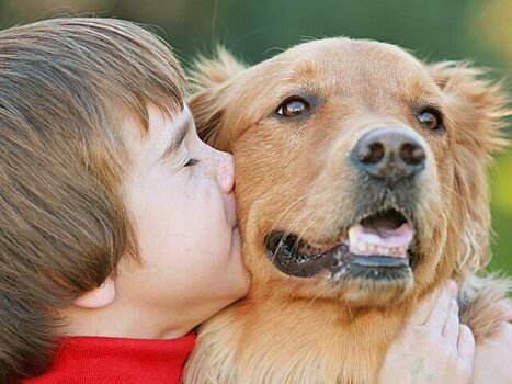 Врач Рафаелян: контакт с кошкой с раннего детства снижает риск появления аллергии