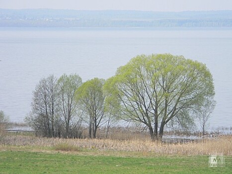 Бывшему главе Переславского района предъявили обвинение