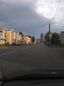 Движение трамваев в Ижевске, смерть осьминога-оракула и запрет на соломинки: что произошло минувшей ночью