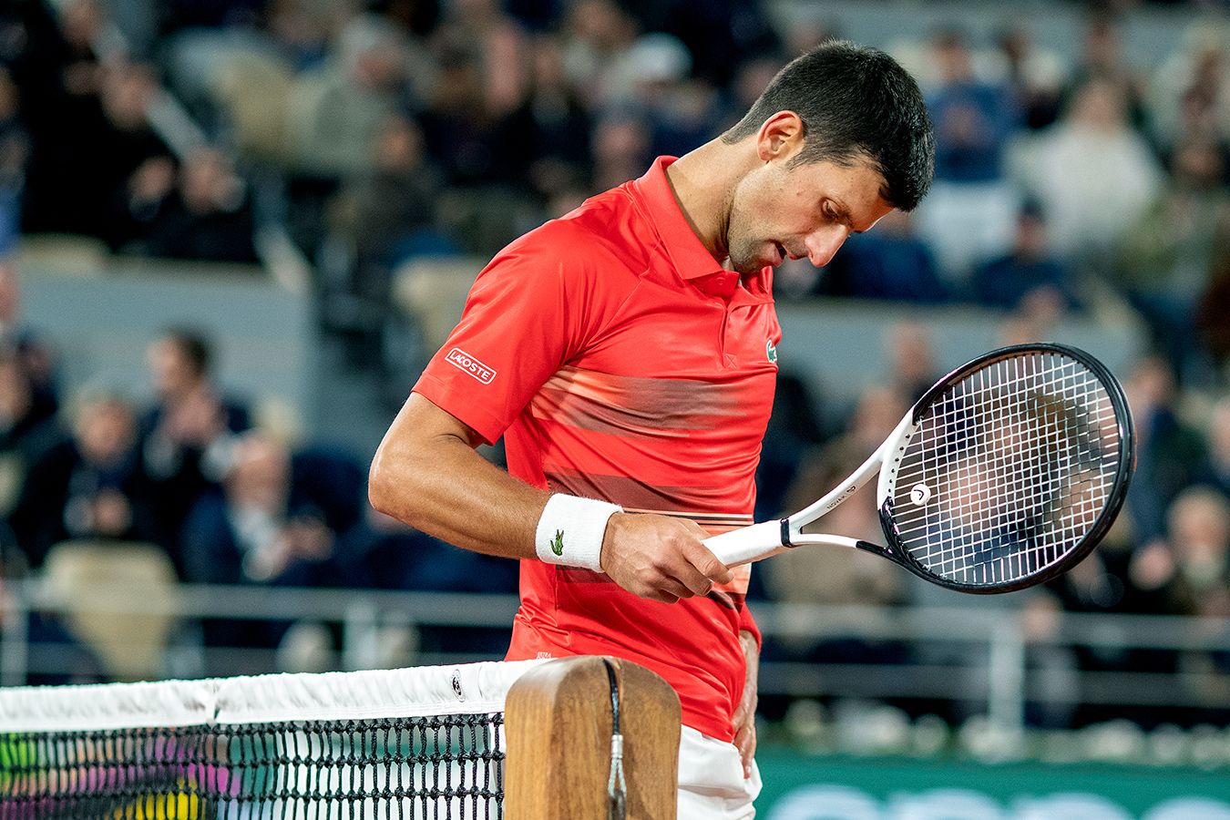 Участие Новака Джоковича на Australian Open — 2023 под вопросом: там не против, чтобы серб прилетел за 10-м «Шлемом»?