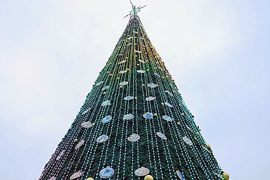 Главная елка Беларуси засияет в Минске на следующей неделе