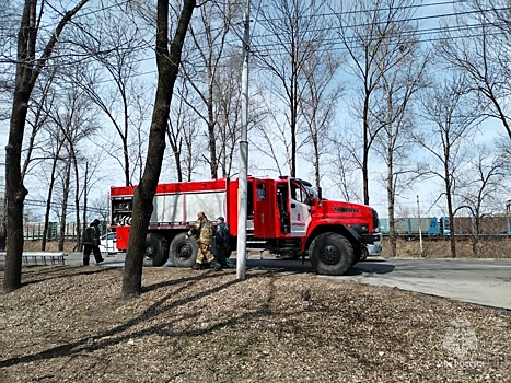 В Биробиджане восьмилетняя девочка спасла из огня годовалого брата