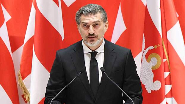 Президент Грузии поддержал запрет трех оппозиционных партий