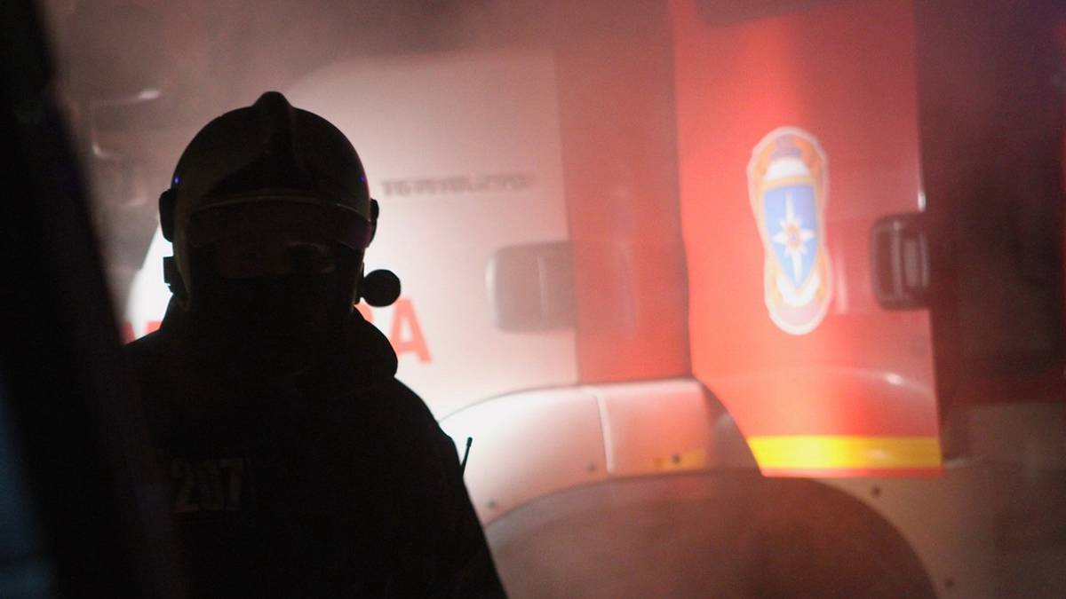 Огнеборцы локализовали пожар на 2000 «квадратов» в Подмосковье