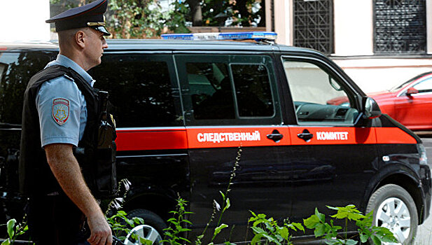 СК опроверг сообщения о детях с вырезанными почками