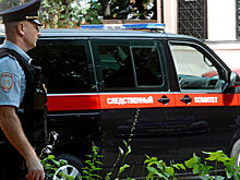 В Кузбассе СК проверяет действия полиции в конфликте дачников с чиновником
