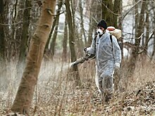 Калининградские эксперты рассказали, как жильцам обработать придомовую территорию от клещей