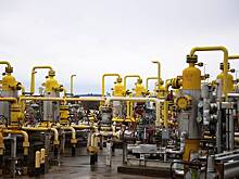 Еврокомиссар объяснила отсутствие запрета на российский газ в новом пакете санкций