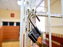 Барбер ударил розовым телефоном российского полицейского и получил срок