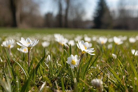 Синоптики прогнозируют, что март будет теплее нормы