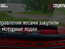 Для управления лесами закупили новые моторные лодки