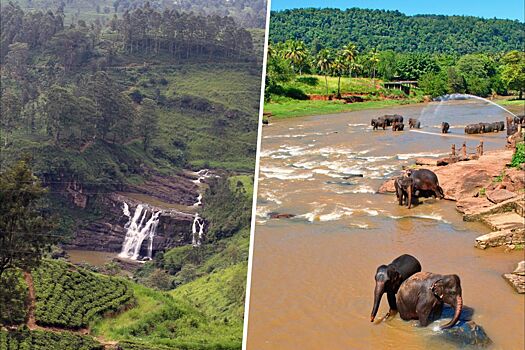 Что посмотреть на Шри-Ланке в 2026 году