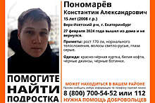 В Екатеринбурге более суток не могут найти 15-летнего подростка