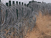 Госпогранслужба: паромный КПП "Орловка" между Украиной и Румынией приостановили
